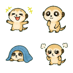 Tiny Meerkat
