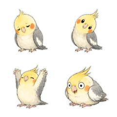 玄鳳鸚鵡線稿淡彩1A