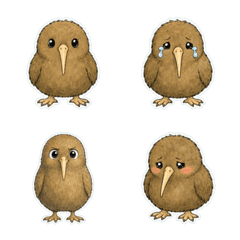 Kiwi Bird Line Wash 1A