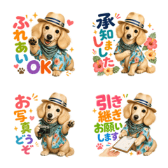 Aloha Shirt Cream Dachshund 2