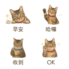 Gaomei Cat's Gentle Response