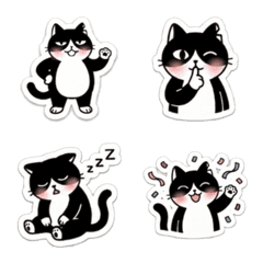 Black Cat Daily Life 2