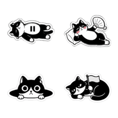 Black Cat Daily Life 1
