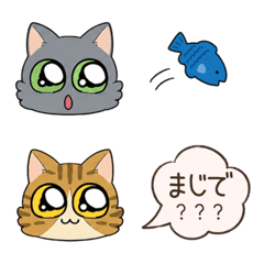 Cats Speech Bubble Reactions