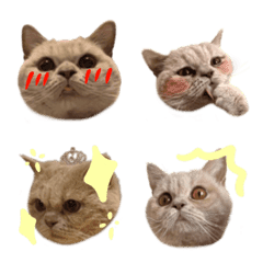 pjadmtgjdmujd