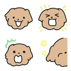 itoka dog