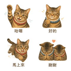 Gaomei Cat's Gentle Response2