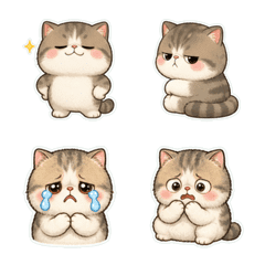 エキゾチックのふわかお。