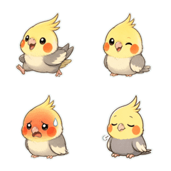 オカメインコのふわかお。
