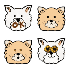 Spitz Pomeranian and Samoyed
