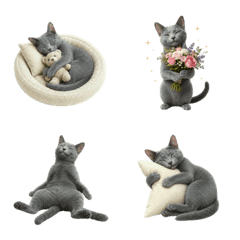 All-Year Russian Blue
