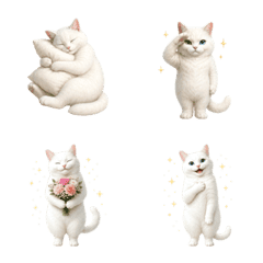 All-Year White Cat