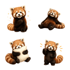 一年中使える！ レッサーパンダ