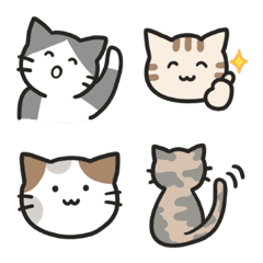 Everyone's cute cat