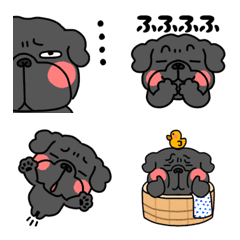 BLACK pug