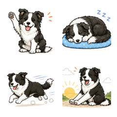 邊境牧羊犬日常表情貼