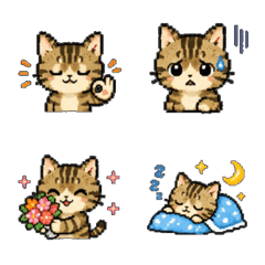 ikura cat