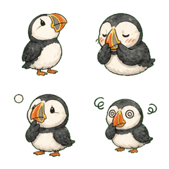 Awkward Puffin