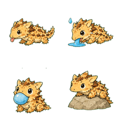 Thorny Devil Lizard
