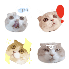 qjdmwutlemwtkd