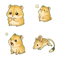 Round Hamster!!