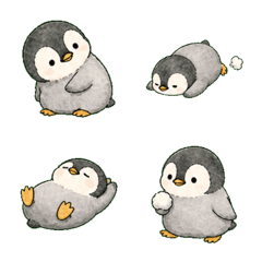 Awkward Penguin!