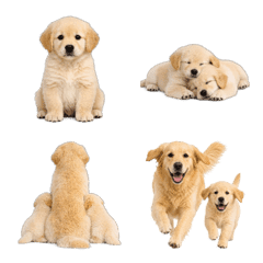 A Happy Dog Parent and Puppy
