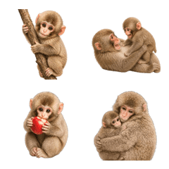 Cute Little Monkey2