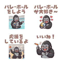 Gorilla Loves Sitting Volleyball!