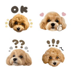 uni.emoji..