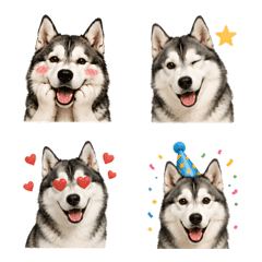 Siberian Husky Face Emoji Stickers