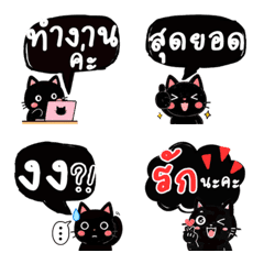 Black Cat Daily Talk