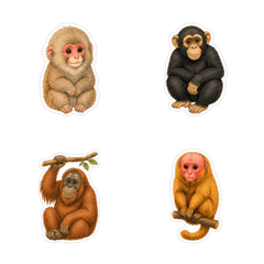 Cute monkey Emoji Vol.1