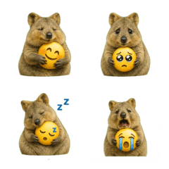 (Emoji)Happy Animal_Quokka Wallaby8