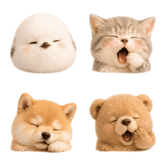 Fluffy, Soft, and Snoozing Animals