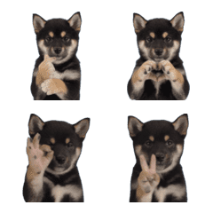 ai-Emoji  (Character ) 306