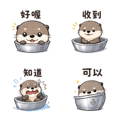 Silver Boat Otter Approach