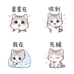 銀鈴貓｜小聲提醒