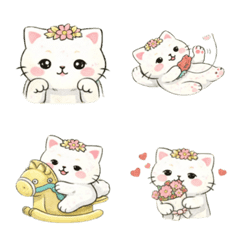 Blossom Kitty Everyday