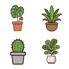 アーバンジャングル：かわいい鉢植え