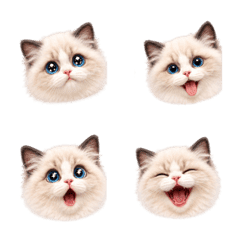 Fluffy Kitten Emoji Many Moods