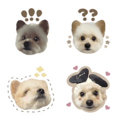 pino.emoji.