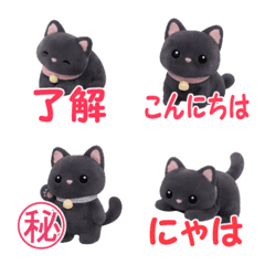 Lovely black cat flocky, fix