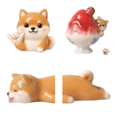 Kotaro the Shiba : Summer Reactions