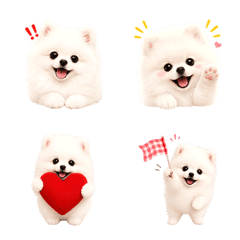 Daily Cute White Pomeranian Emoji