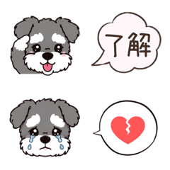Shuna x Speech Bubble Reaction
