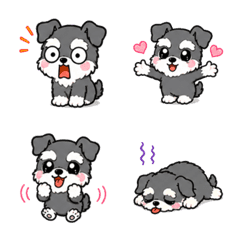 Cute Mini Schnauzer Emoji