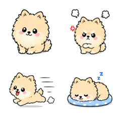 Cute Pomeranian Emoji for Everyday