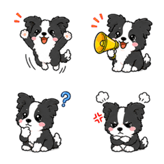 Cute Border Collie Emoji