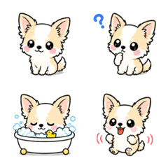 Cute Chihuahua Emoji for Everyday